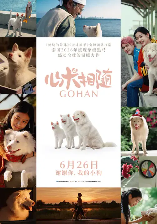 【喜剧片】心犬相随