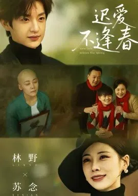 【短剧】迟爱不逢春